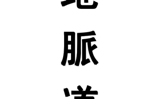 倪海厦-地脉道-打印稿